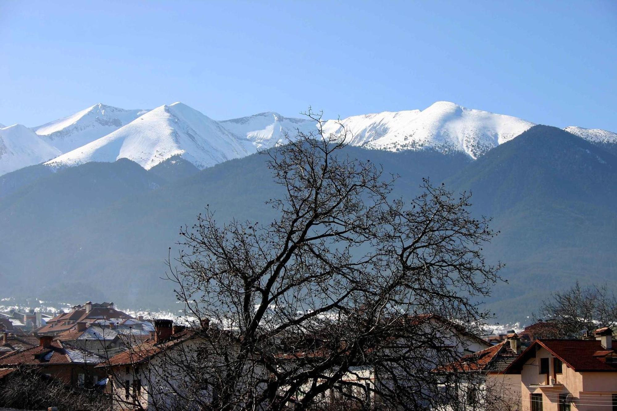 Family Hotel Bisser Bansko Exterior foto